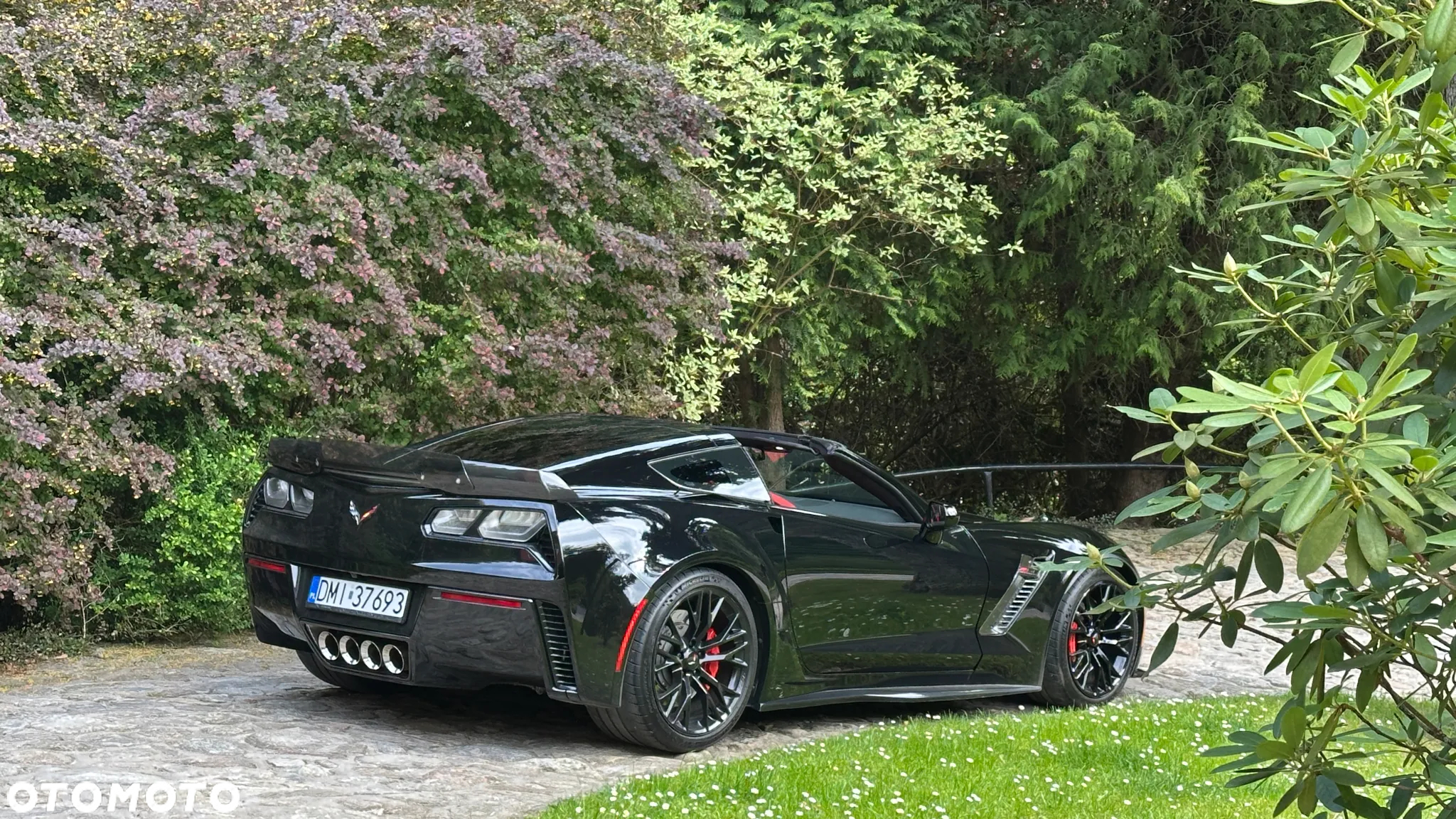 Chevrolet Corvette - 15