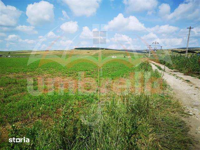 Teren de vanzare in Iclod  8.659m²10€ m²  DN1 - Imagine principală: 3/4