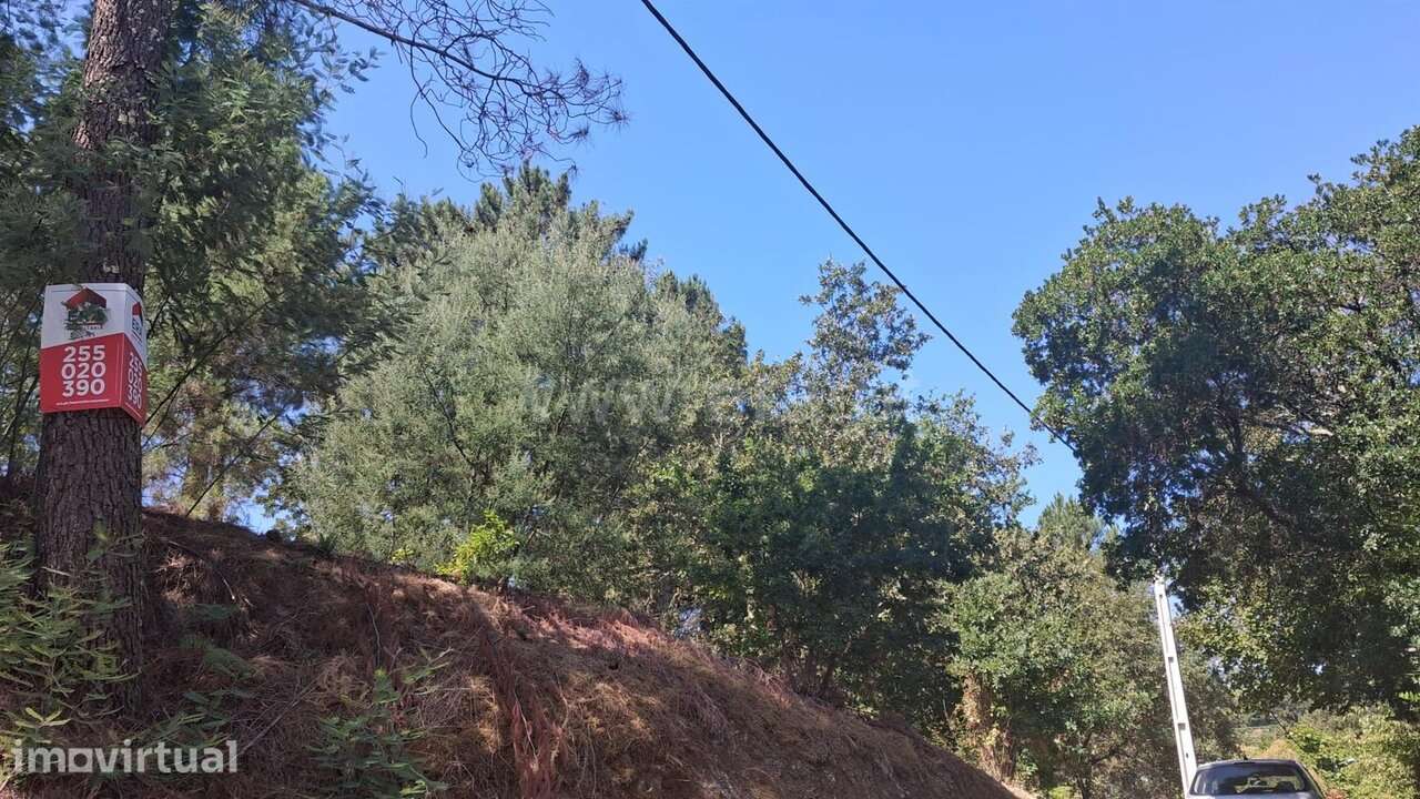 Terreno Rústico / Marco de Canaveses, Tabuado - Grande imagem: 3/4