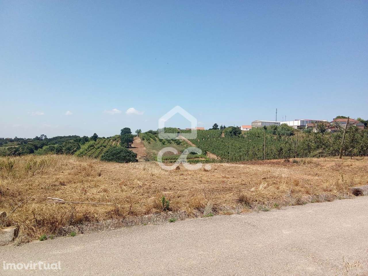 Terreno Rústico com 3.880 m² – Excelente Oportunidade em Usseira, a 3 - Grande imagem: 2/13