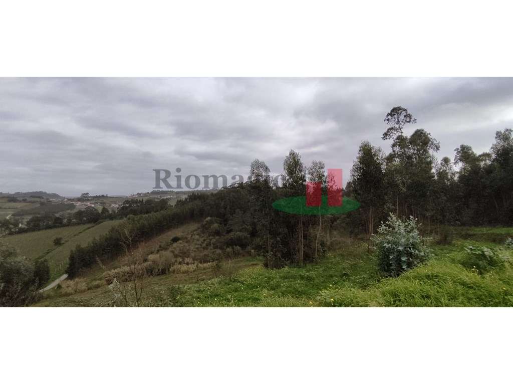 Terreno - Casal das Freiras - Grande imagem: 2/12
