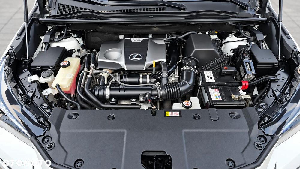 Lexus NX 300 Business Edition AWD - 28
