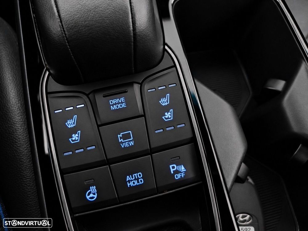 Hyundai Ioniq 38kWh Pack Pele - 28