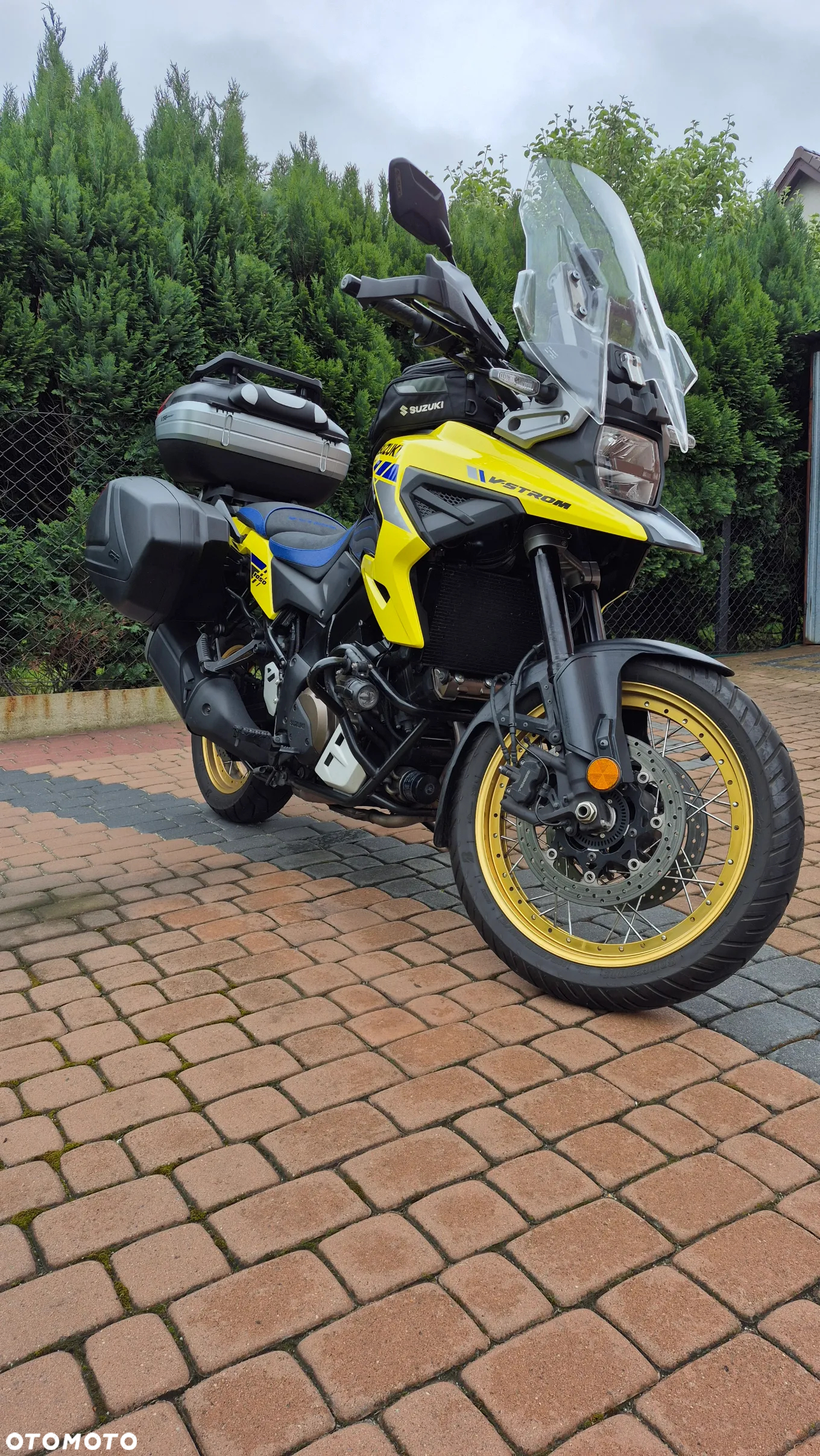 Suzuki DL - 3