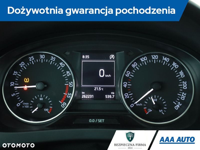 Skoda RAPID - 10