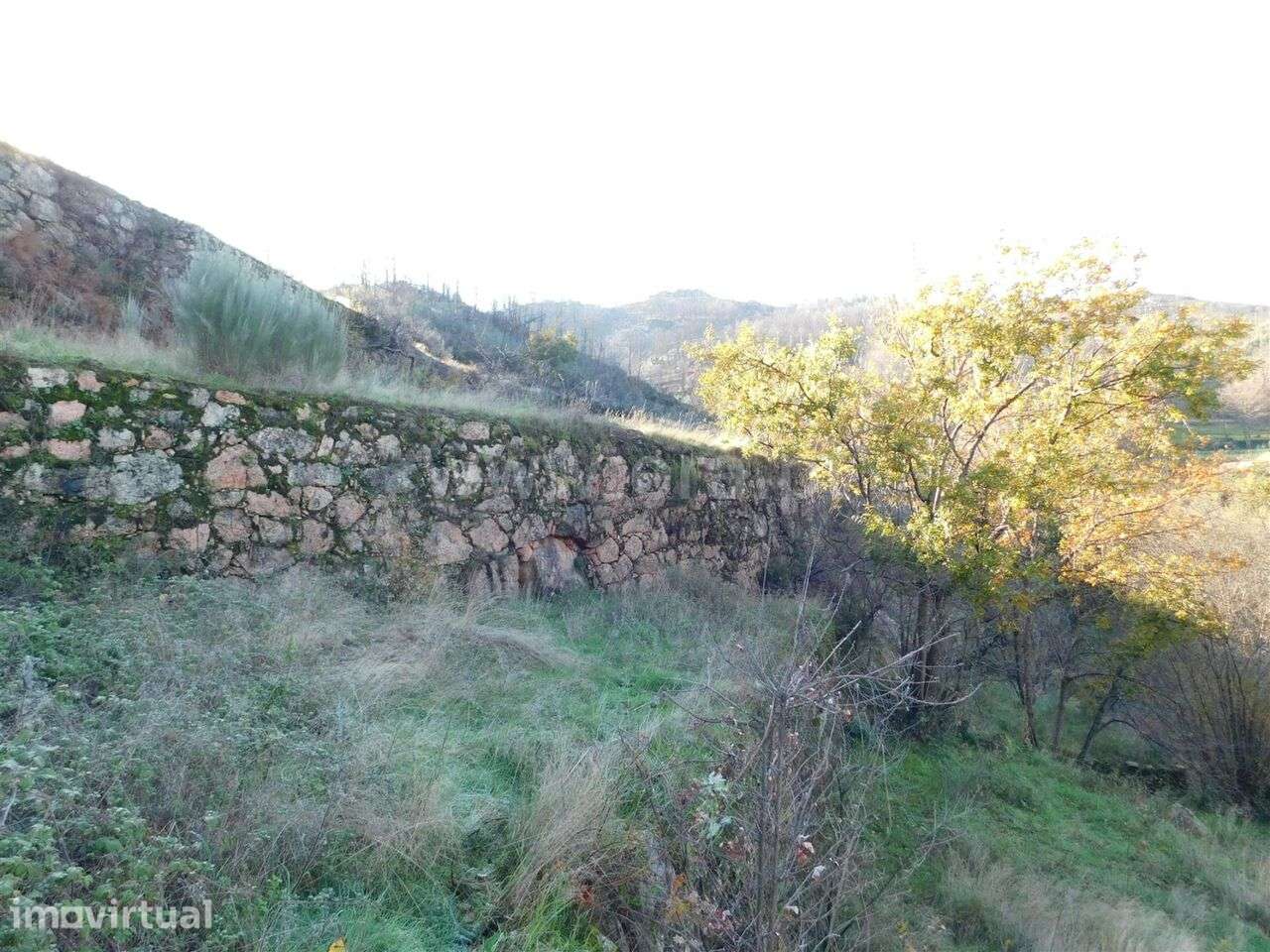 Quinta / Seia, Seia - Grande imagem: 4/8