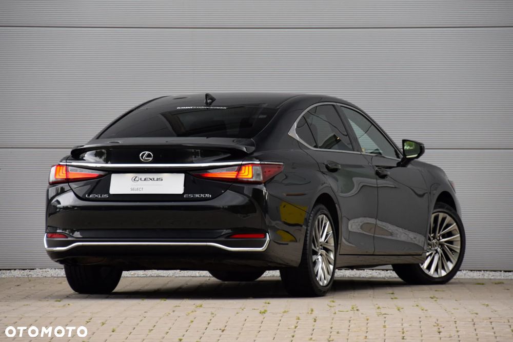 Lexus ES 300h Omotenashi - 6