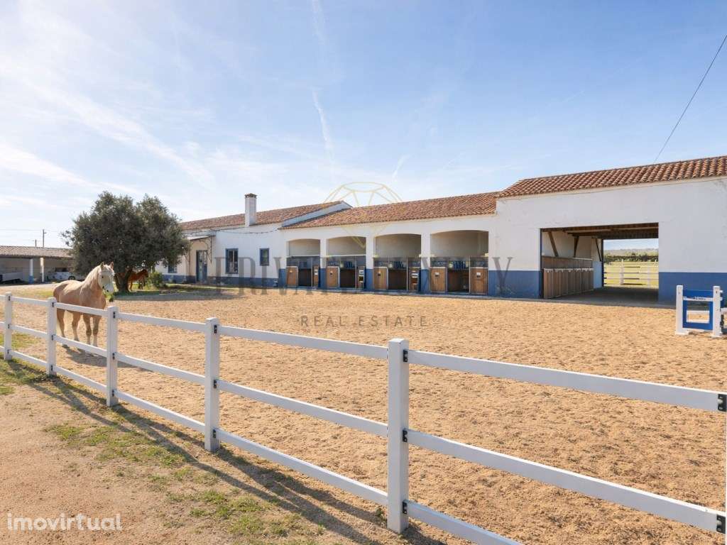 Quinta de renome em plena Vidigueira - Grande imagem: 3/43