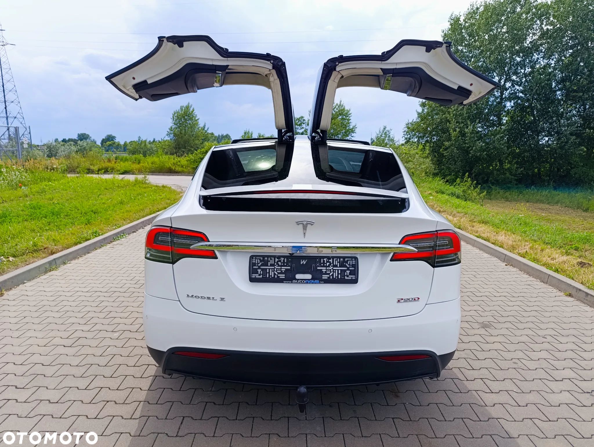 Tesla Model X Performance - 1