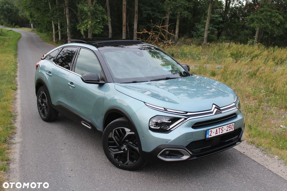 Citroën C4 1.5 BlueHDi Shine S&S - 13