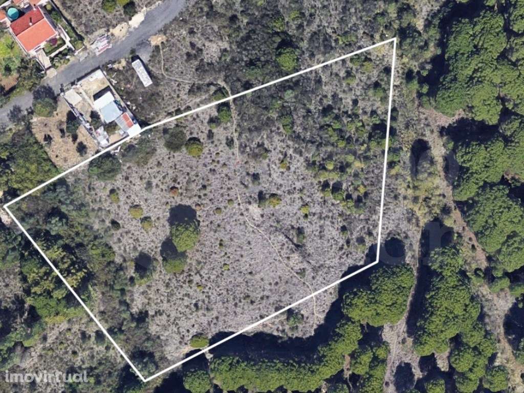 Terreno Rústico com Vista Paisagística | Santa Eulália | Vialonga - Grande imagem: 5/5