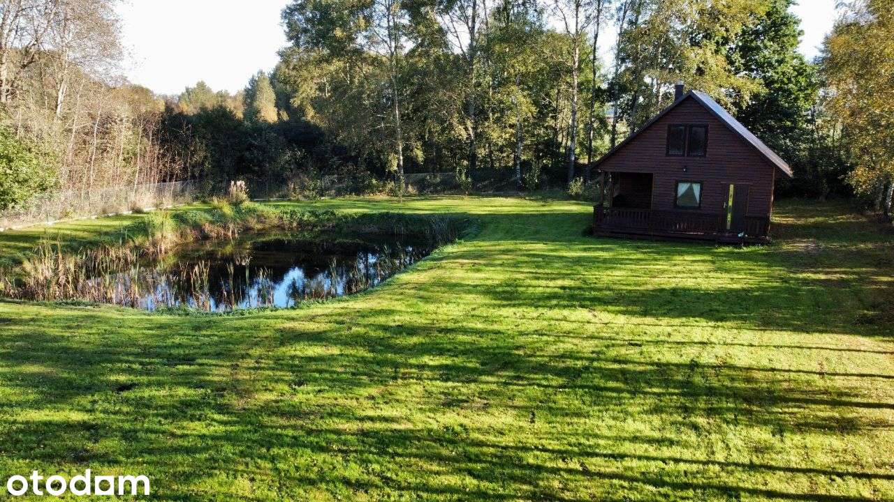 Dom z działką 2500m2, własny staw, garaż - Pełny obrazek: 3/17