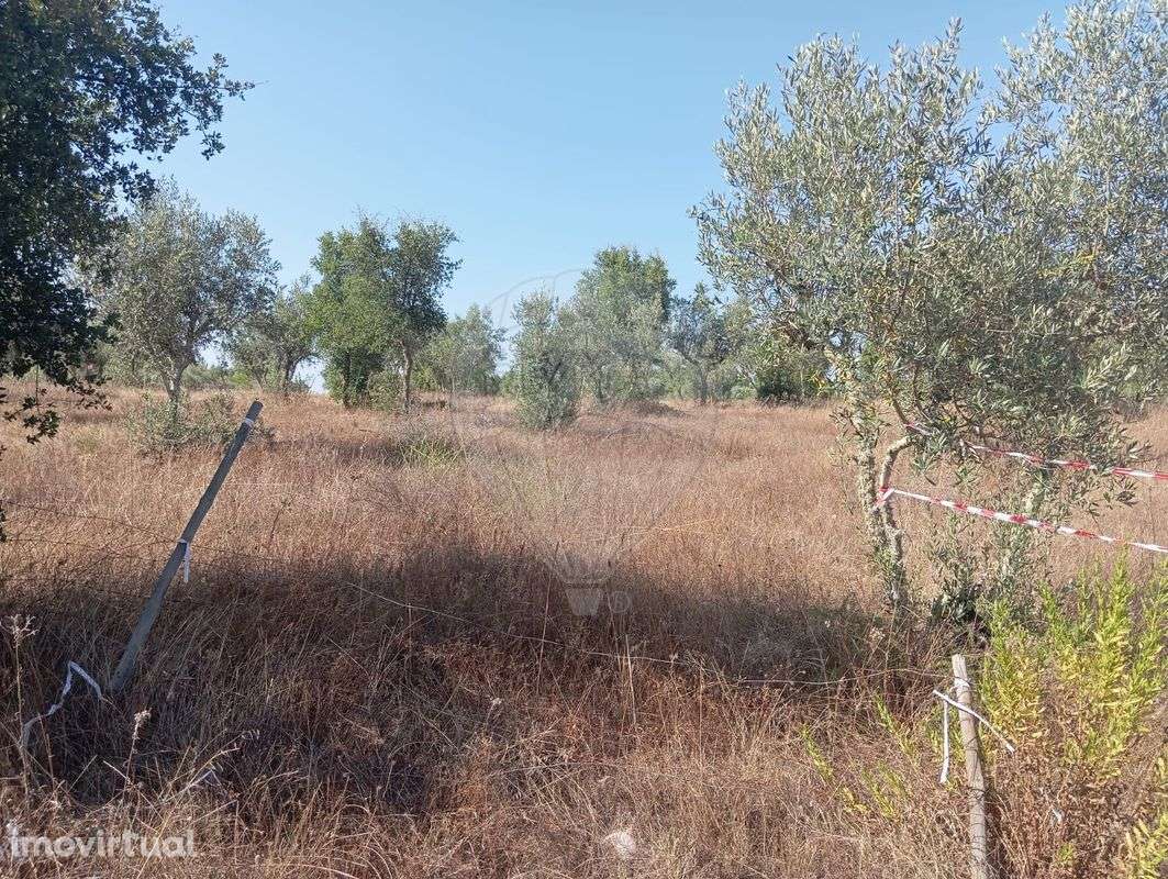 Terreno  para venda - Grande imagem: 4/6