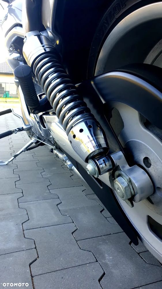 Harley-Davidson Softail V-Rod - 12