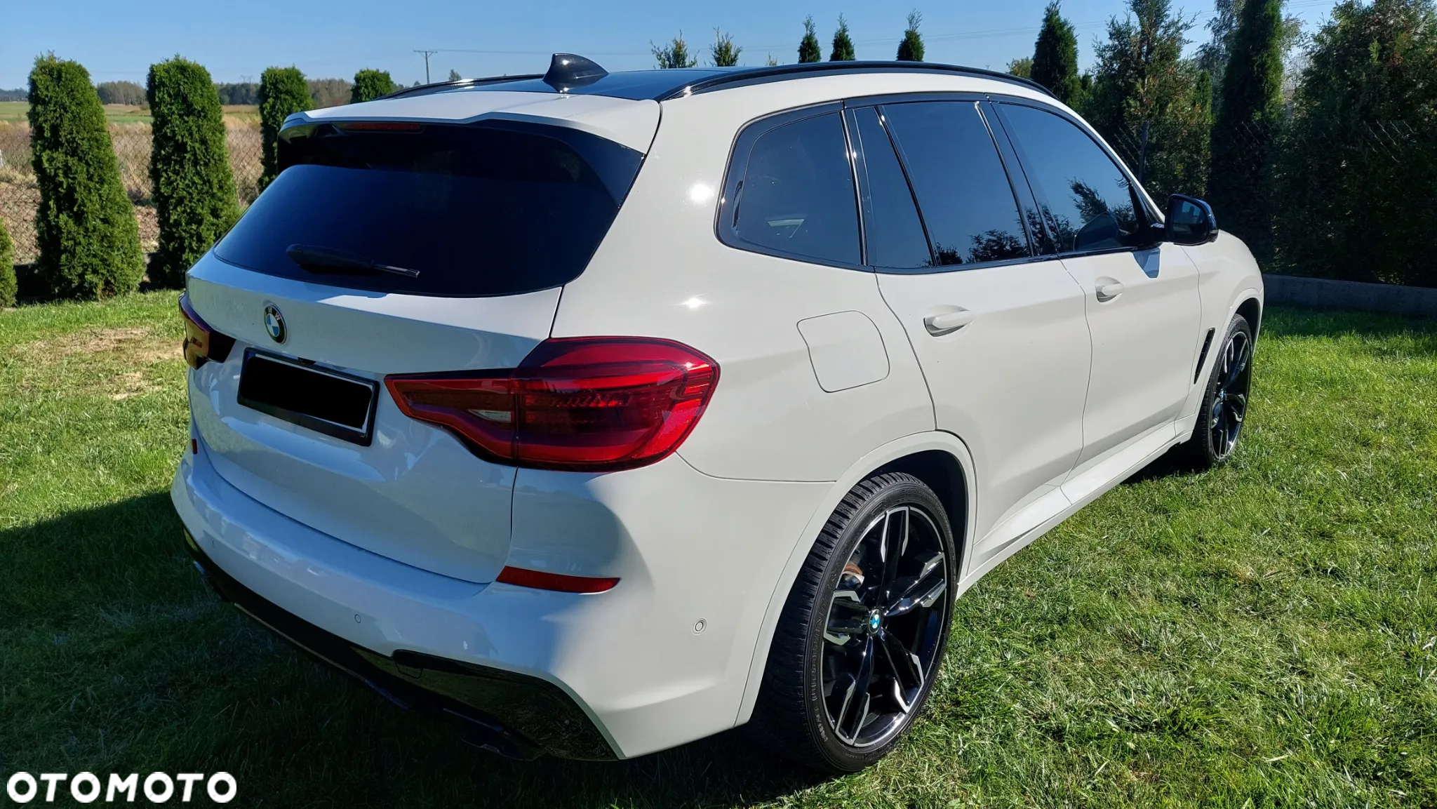 BMW X3 X3M - 7