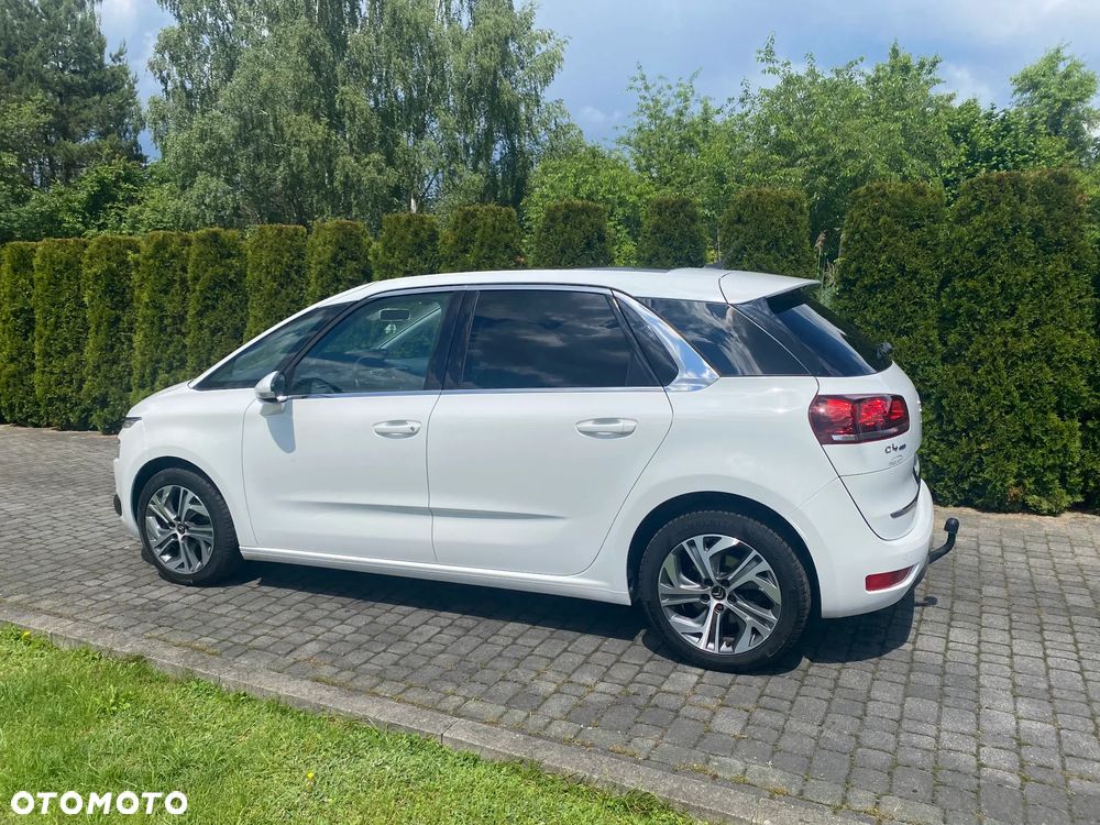 Citroën C4 Picasso BlueHDi 150 EAT6 Business Class - 13