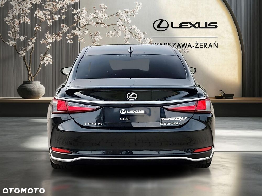 Lexus ES 300h Omotenashi - 6
