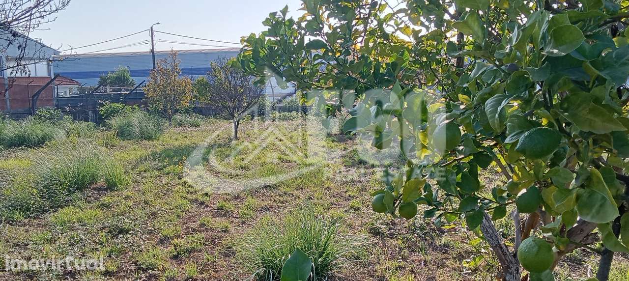 TERRENO PAÇOS BRANDÃO - Grande imagem: 2/8