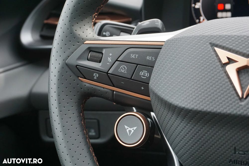 Cupra Terramar - 19