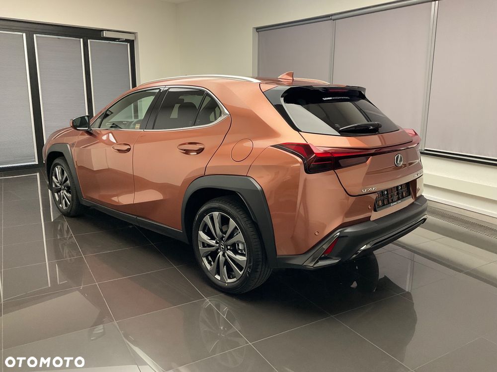 Lexus UX 300h F Sport Design - 21