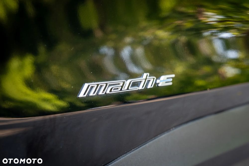 Ford Mustang Mach-E Standard - 25