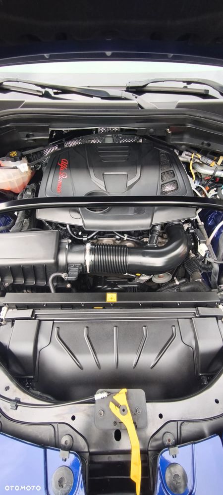 Alfa Romeo Stelvio 2.0 Turbo Veloce Q4 - 38