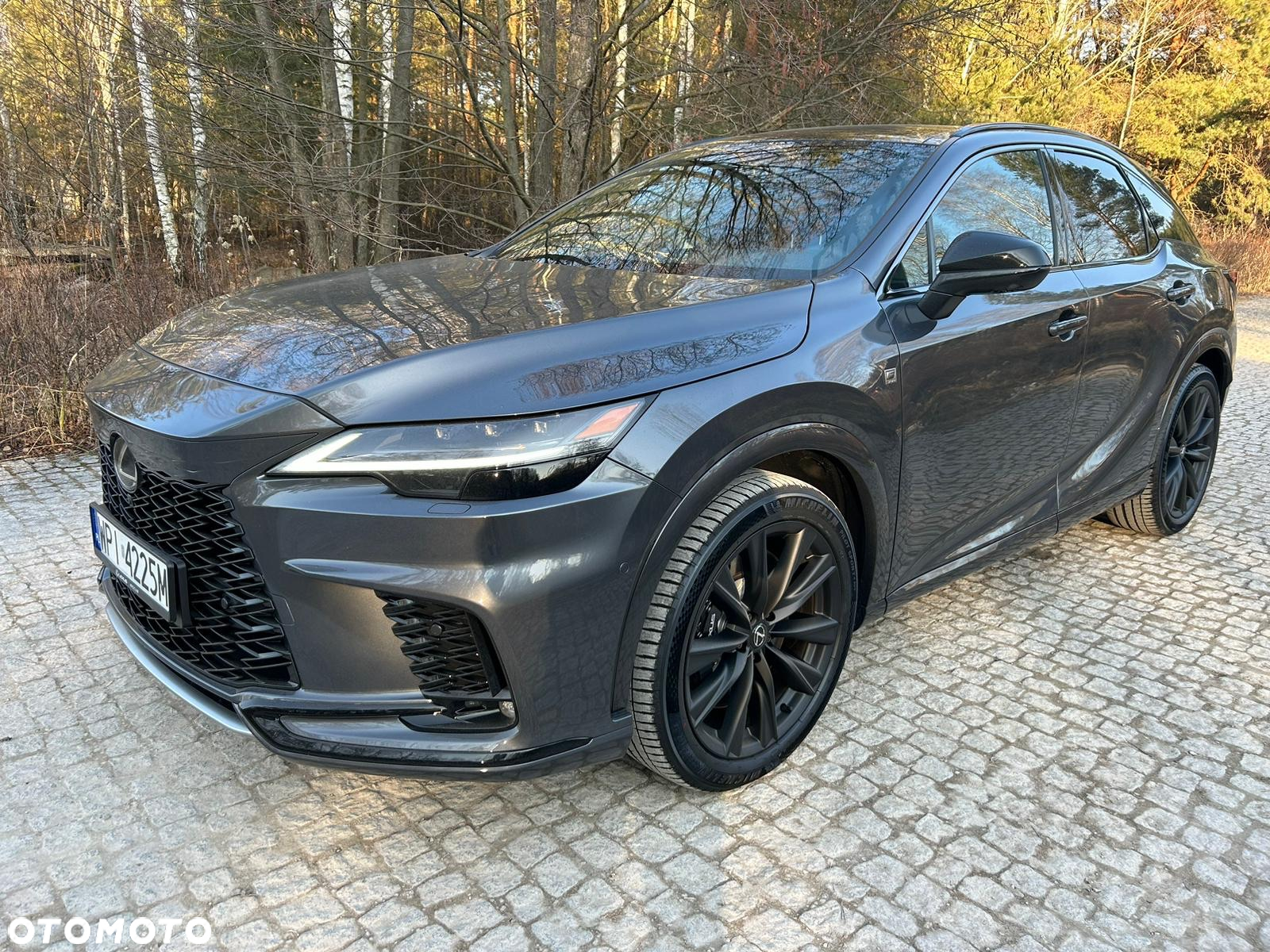 Lexus RX 500h F Sport - 2