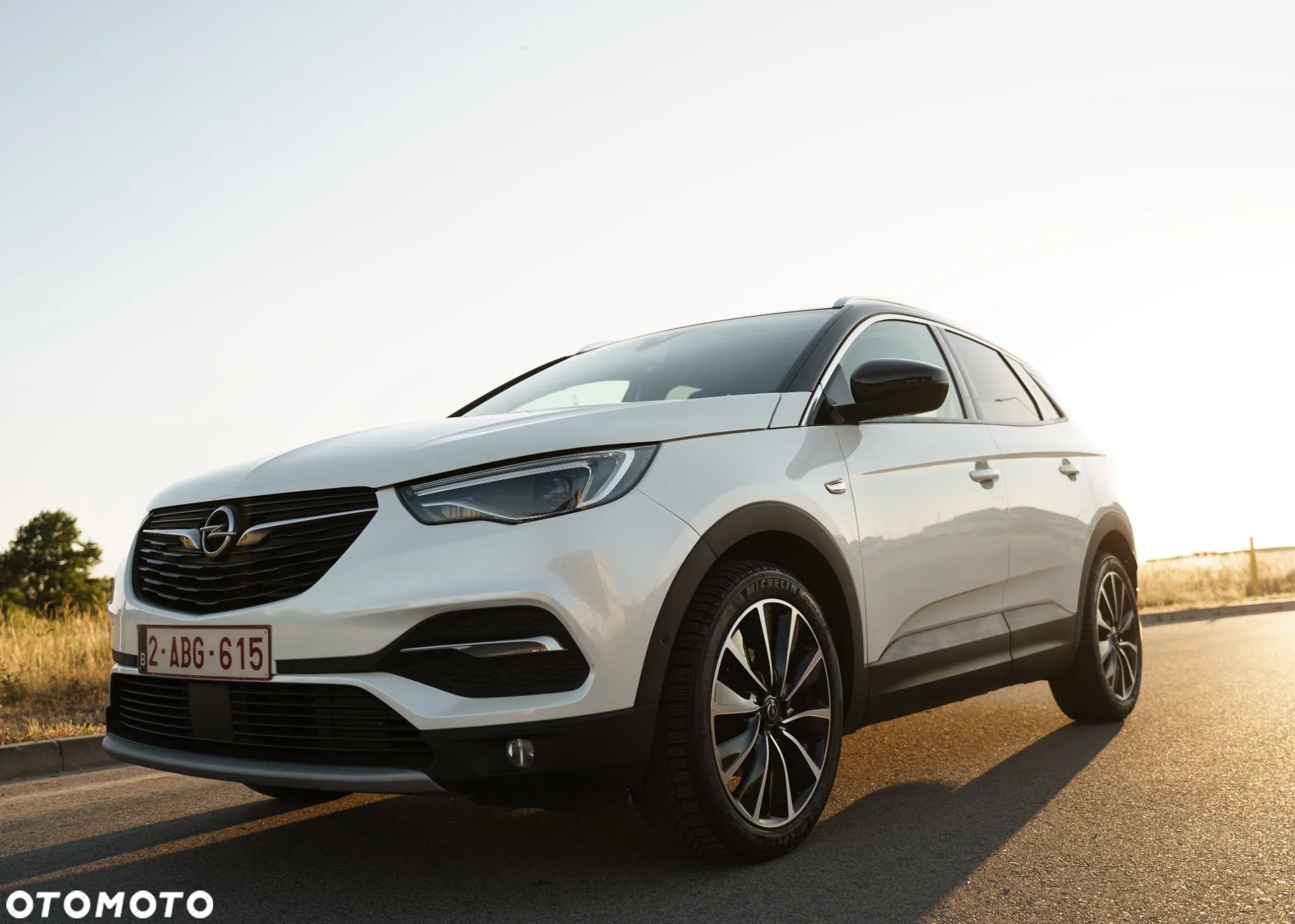 Opel Grandland X 1.5 CDTI Ultimate S&S - 1