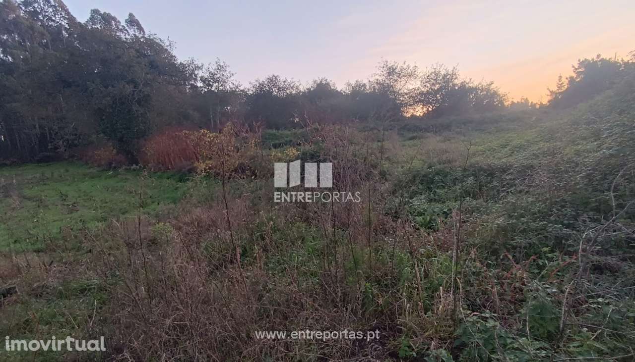 Venda de Terreno Agrícola em Rio Mau, Vila Do Conde - Grande imagem: 2/7