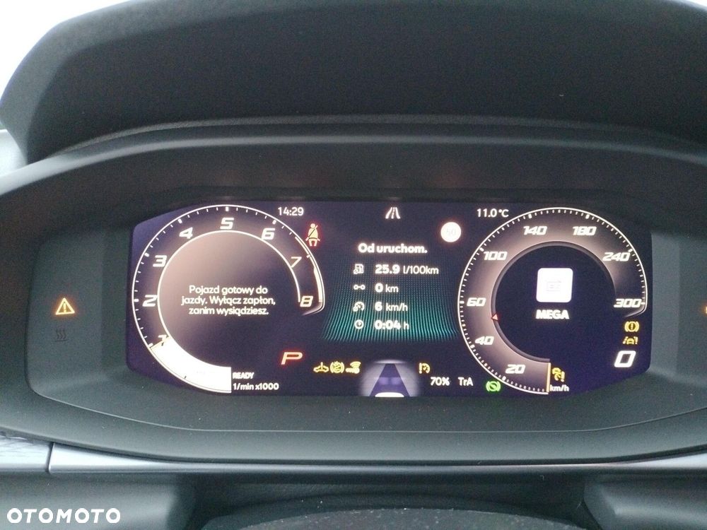 Cupra Terramar - 19