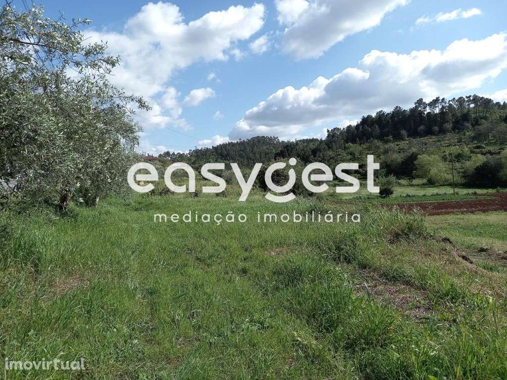 Terreno Rústico - Urbanizável - Abrunheira - Assafarge - Coimbra - Grande imagem: 4/14