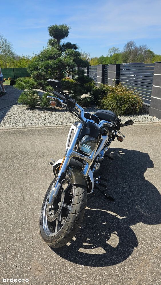 Harley-Davidson V-Rod Muscle - 12