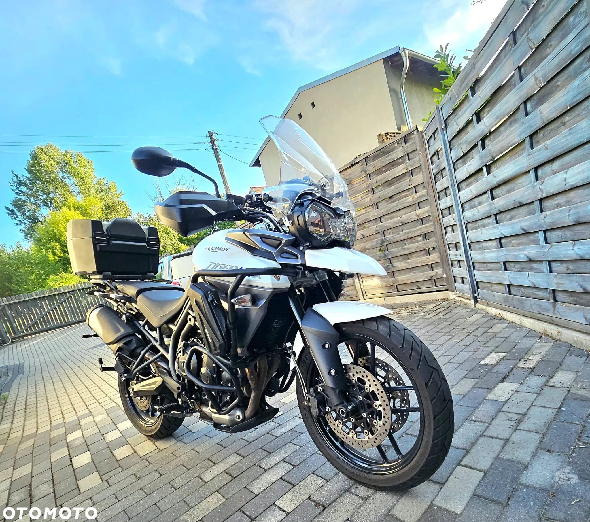 Triumph Tiger - 8
