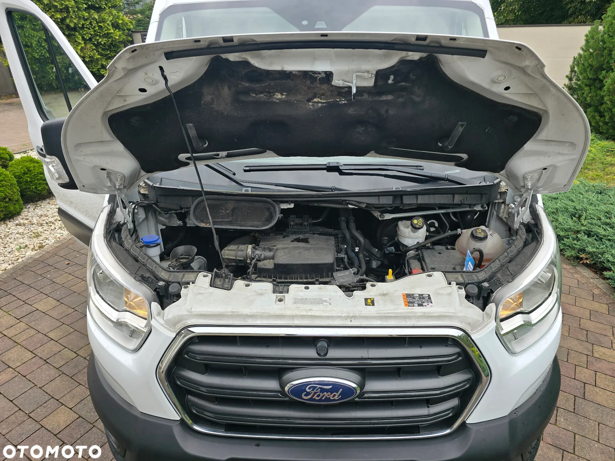 Ford Transit - 11
