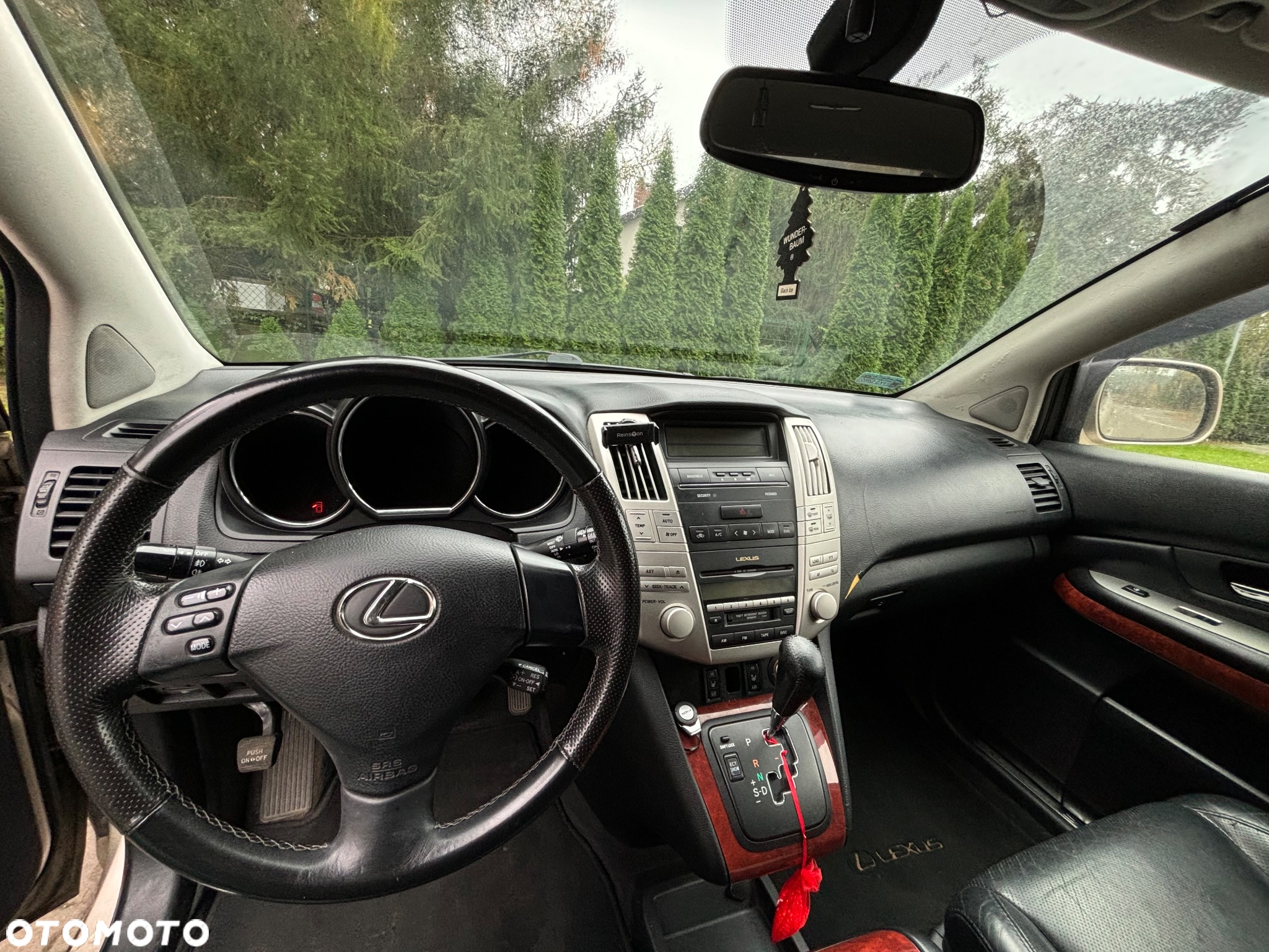 Lexus RX - 10