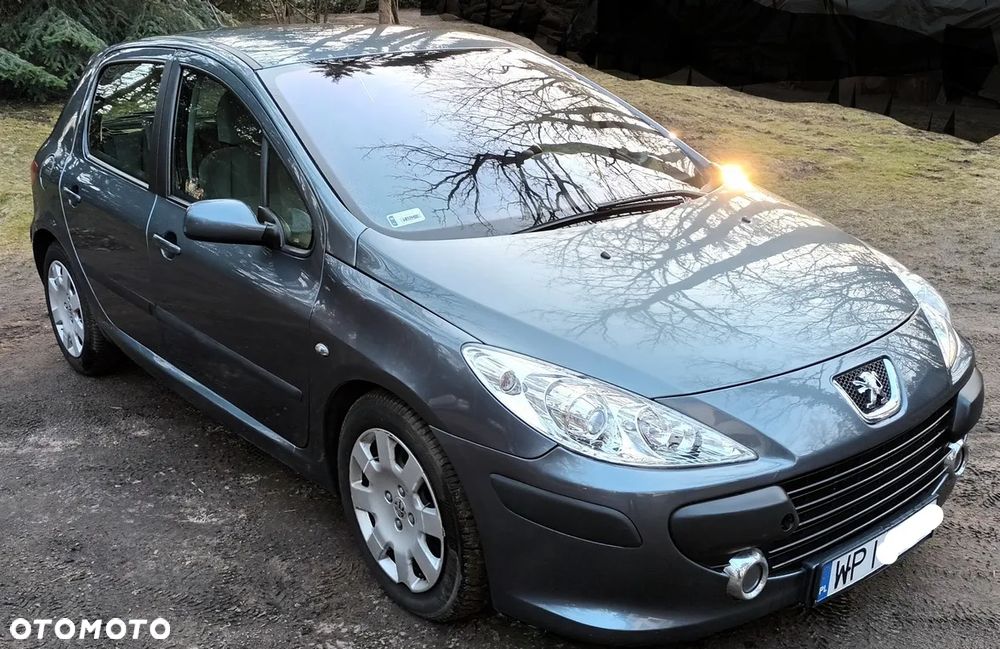 Peugeot 307 1.6 HDi - 1
