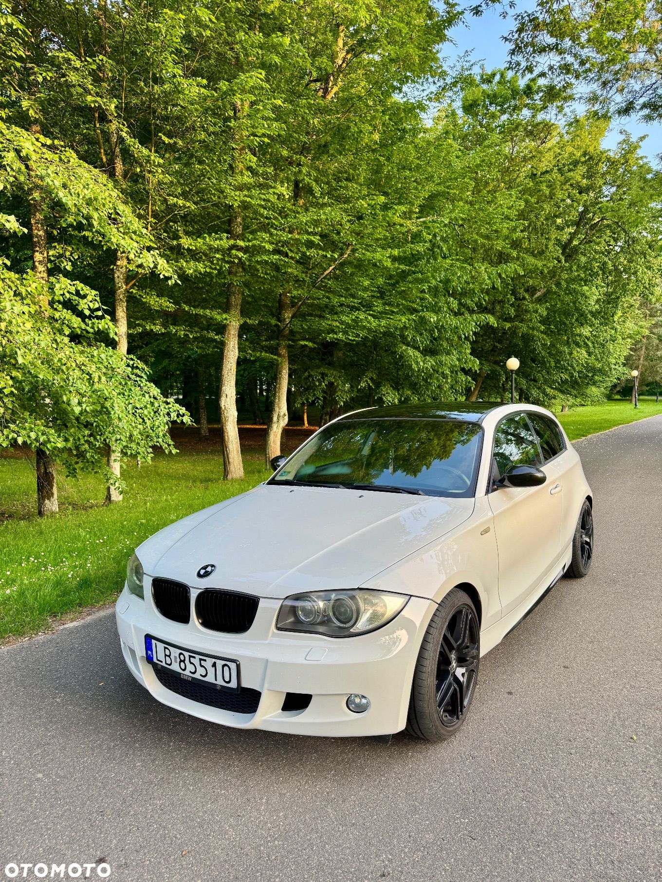 BMW Seria 1 120d - 1