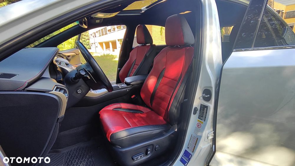 Lexus NX 300 AWD F SPORT - 19