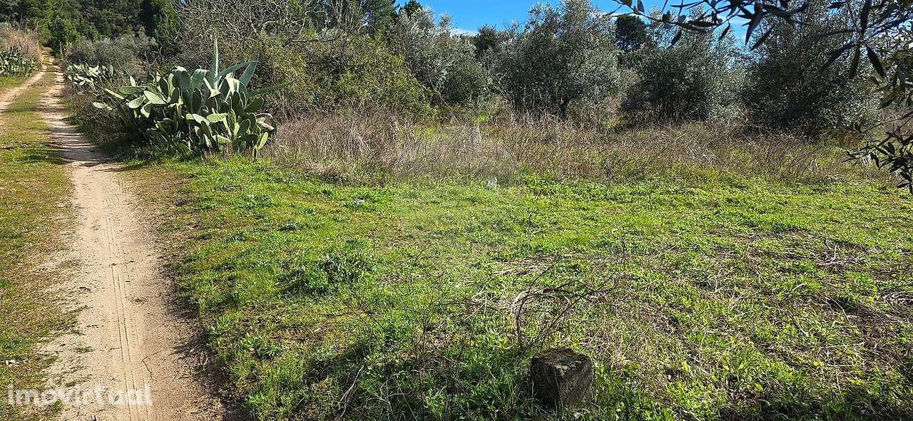 Terreno  para venda - Grande imagem: 5/16