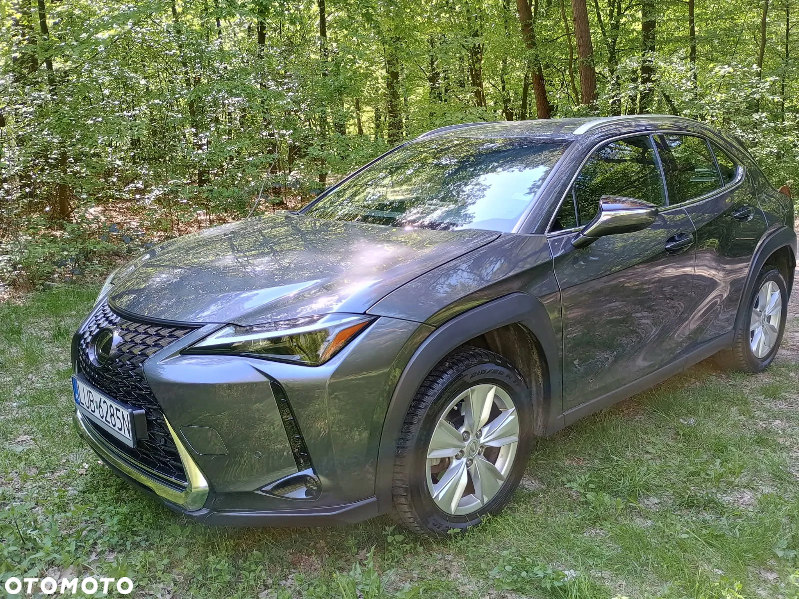 Lexus UX 250h GPF Business 2WD - 4