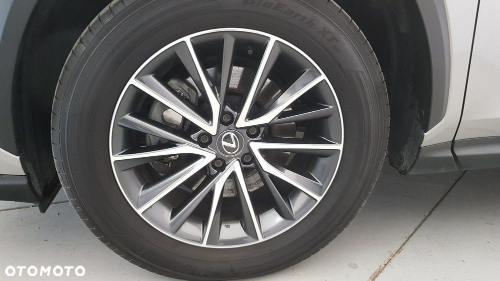Lexus NX - 13