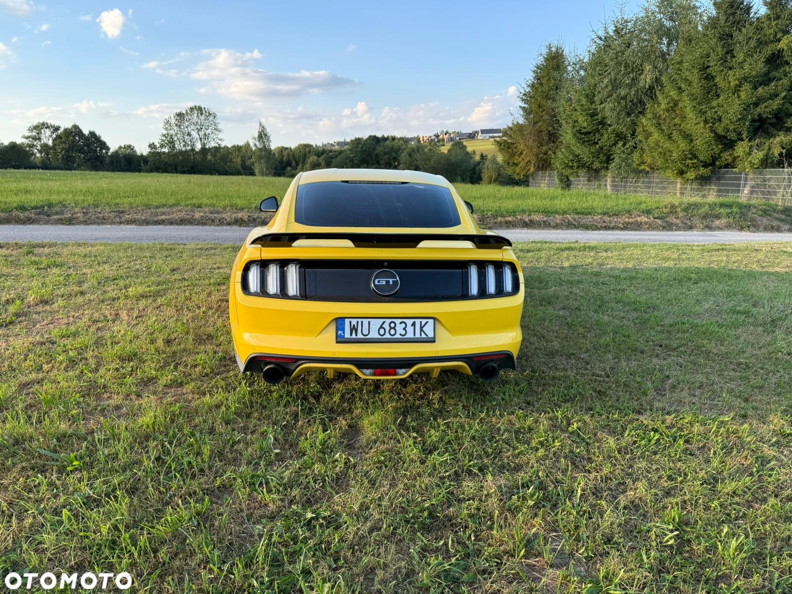 Ford Mustang 5.0 V8 GT - 4