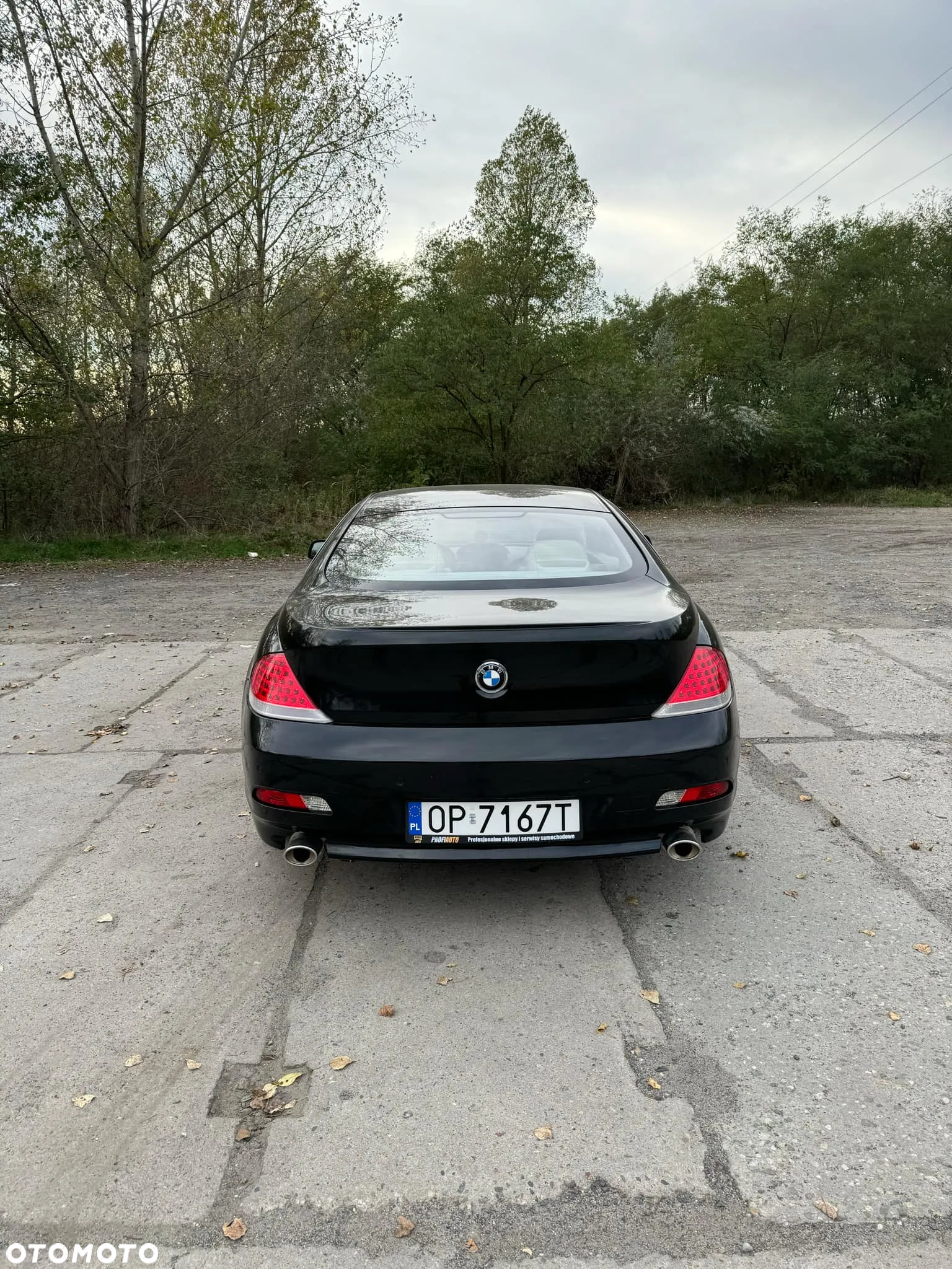 BMW Seria 6 645 Ci - 4