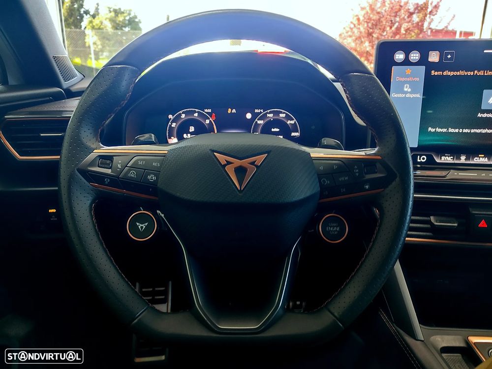 Cupra Formentor 2.0 TDI DSG - 14