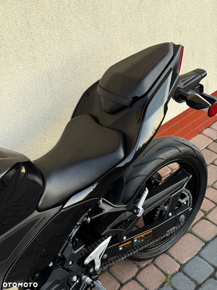 Kawasaki Ninja - 29
