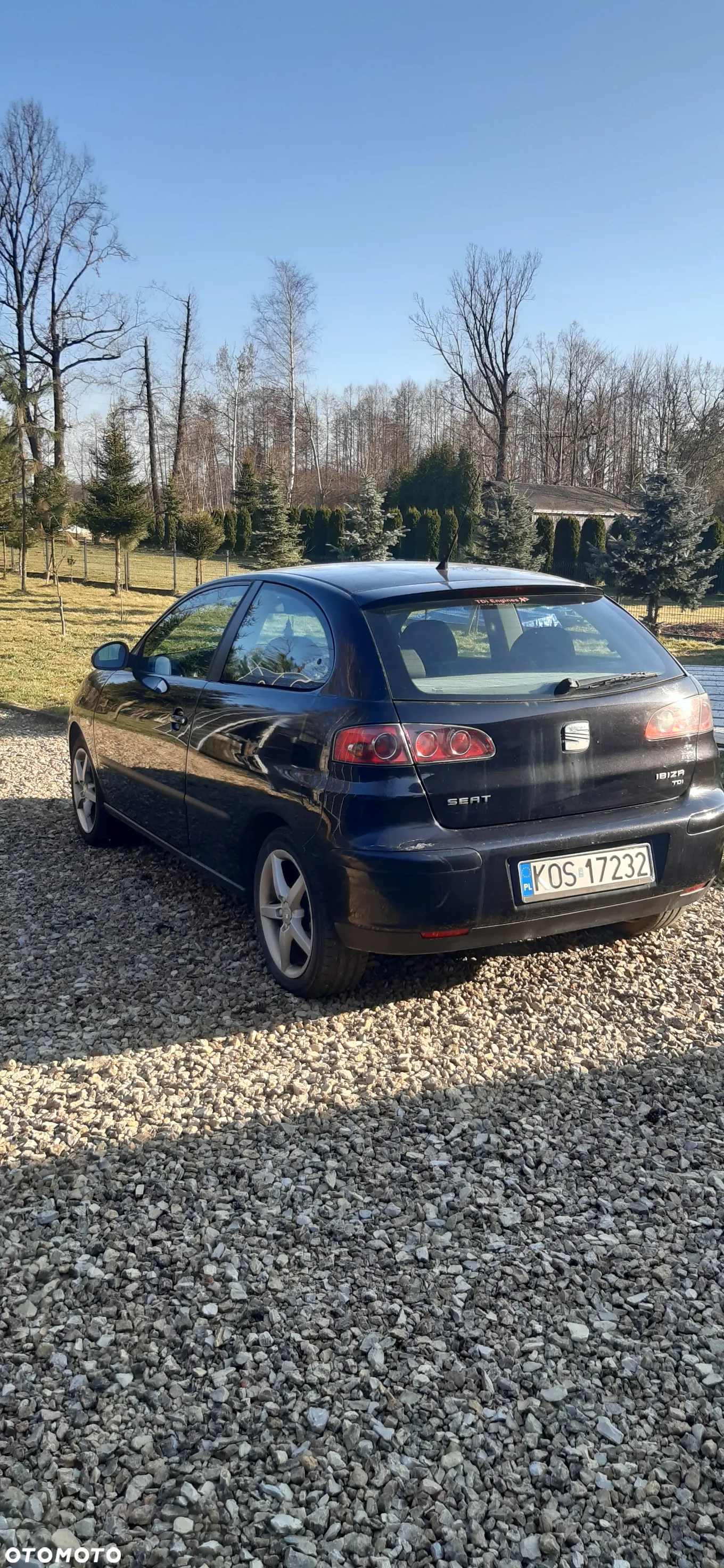 Seat Ibiza 1.9 TDI Signo - 6