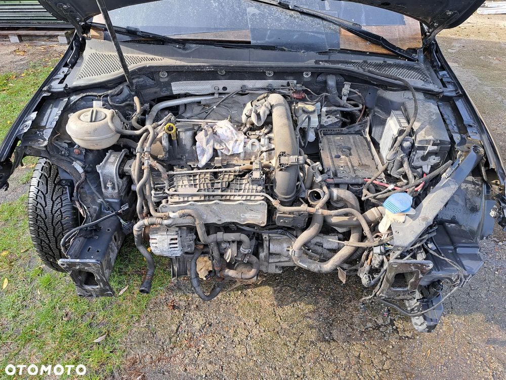 Volkswagen Golf - 8