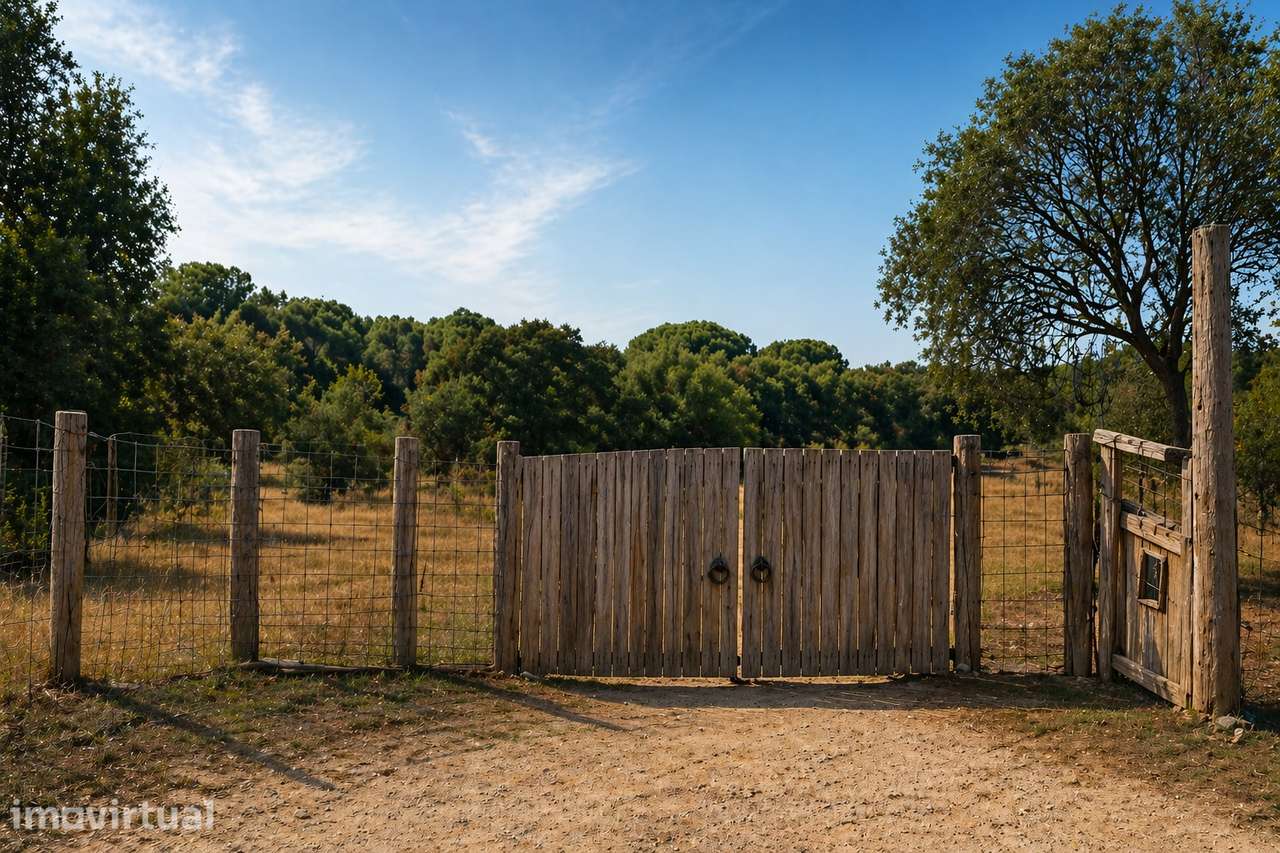 Terreno Rustico com Tiny House vista Serra e Mar - Grande imagem: 3/7