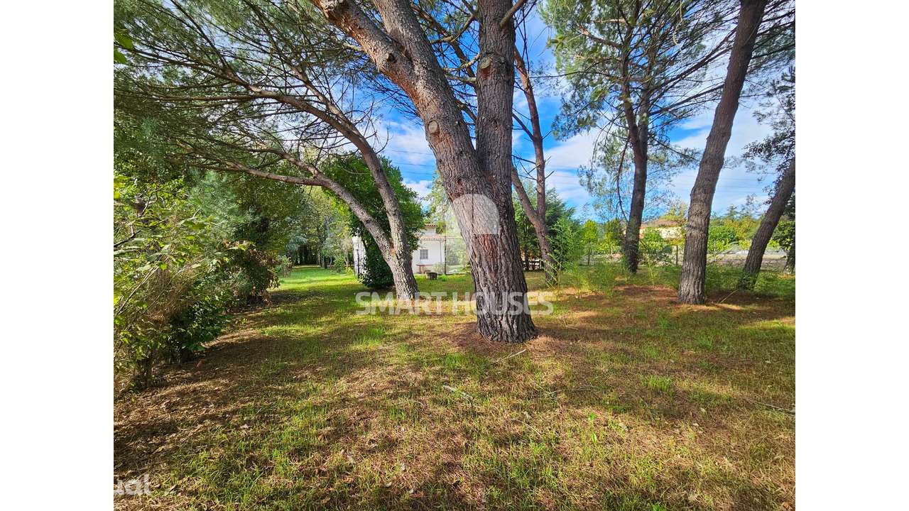 Quinta T1 Secarias junto rio Alva - Grande imagem: 3/32