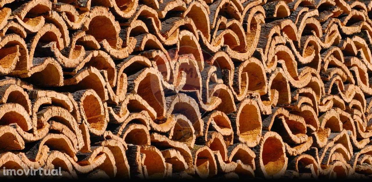 Terreno  para venda - Grande imagem: 3/13